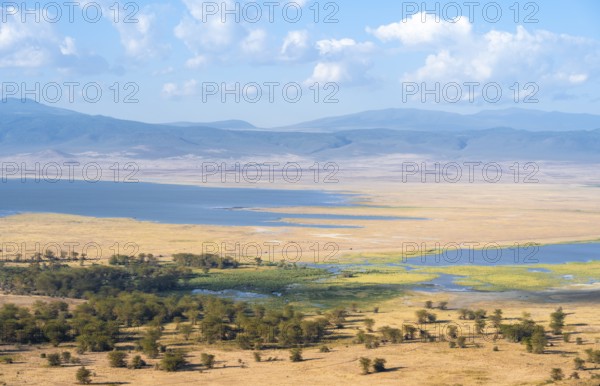 View of savanna landscape and lakes in the Ngorongoro Crater from the crater rim in the evening light, Ngorongoro Conservation Area, Tanzania