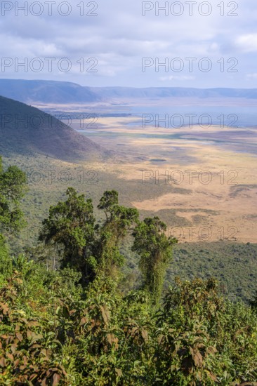 View of Ngorongoro Crater, Crater Viewpoint, Forest and Savanna Landscape, Ngorongoro Conservation Area, Tanzania