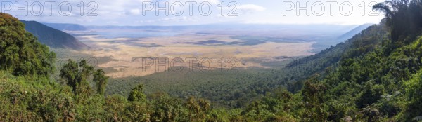 Panorama, view of Ngorongoro Crater, Crater Viewpoint, forest and savanna landscape, Ngorongoro Conservation Area, Tanzania