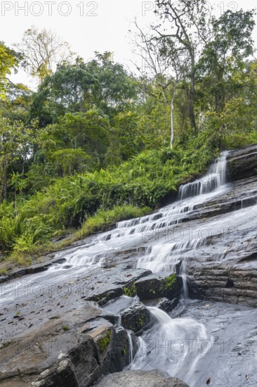 Derema Waterfall flows through thick vegetation, tropical rainforest in Amani Nature Forest Reserve, long exposure, Eastern Usambara Mountains, Tanga, Tanzania