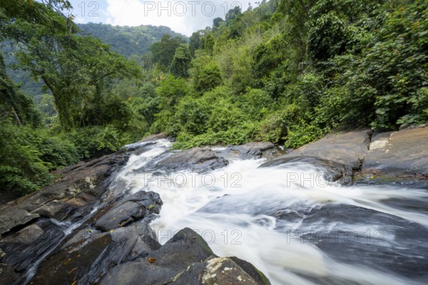 Waterfall flows through thick vegetation, tropical rainforest in Amani Nature Forest Reserve, long exposure, Eastern Usambara Mountains, Tanga, Tanzania