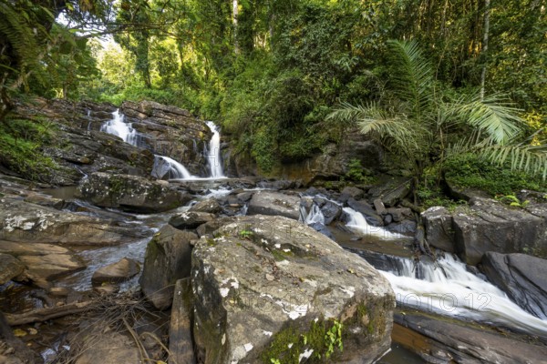 Derema Waterfall flows through thick vegetation, tropical rainforest in Amani Nature Forest Reserve, long exposure, Eastern Usambara Mountains, Tanga, Tanzania