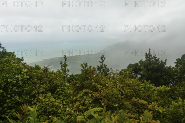 Distant tropical view from Mount Sorrow across valley and bay to where the Great Barrier Reef meets the coast Queensland, Australia