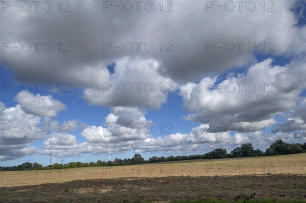Landscape with wind turbines, cluster clouds (Cumulus), Mecklenburg-Western Pomerania, Germany