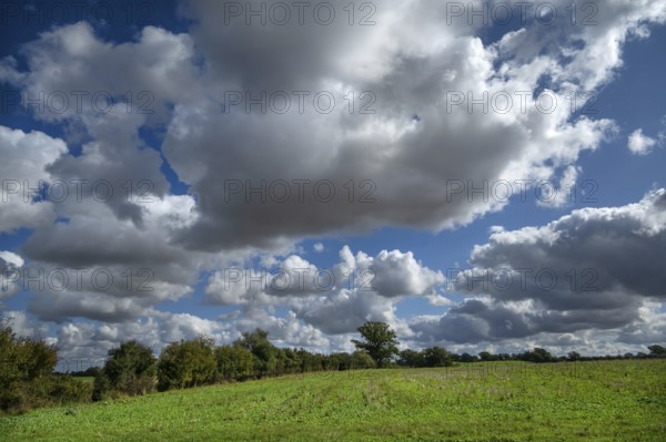 Heap clouds (Cumulus), Mecklenburg-Western Pomerania, Germany