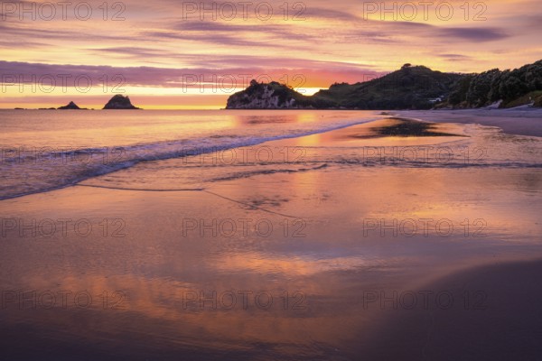 Landscape with sea and sandy beach in New Zealand. Hahei Beach with Te Pare Point in the morning at sunrise. On the left, the rock of Te Karaka Island. Colored clouds. Hahei, Coromandel Peninsula, Waikato, New Zealand
