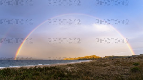 Landscape with sea and sandy beach in New Zealand with rainbow, in the evening at golden hour. Otama Beach, Coromandel Peninsula, Waikato, New Zealand