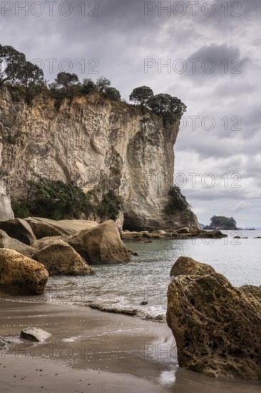 Landscape with sea, sandy beach, rocks and cliffs in New Zealand. Stingray Bay, Hahei, Coromandel Peninsula, Waikato, New Zealand