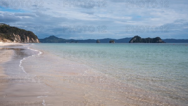 Landscape with sea and sandy beach in New Zealand. Hahei Beach, Hahei, Coromandel Peninsula, Waikato, New Zealand
