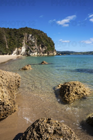 Landscape with sea, rocks and sandy beach in New Zealand. Lonely Bay, Shakespeare Cliff in the back, Cooks Beach, Coromandel Peninsula, Waikato, New Zealand