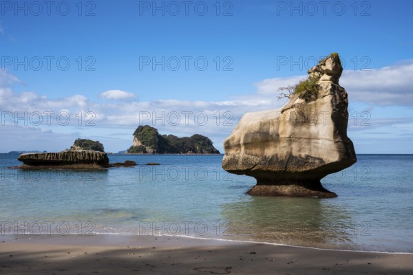 Cathedral Cove in New Zealand. Sea, sandy beach and limestone cliffs. In front right is the Smiling Sphinx rock. Cathedral Cove, Hahei, Coromandel Peninsula, Waikato, New Zealand