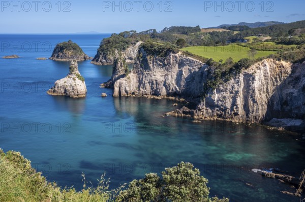 Landscape with sea and cliffs in New Zealand. Te Pare Point, Hahei, Coromandel Peninsula, Waikato, New Zealand