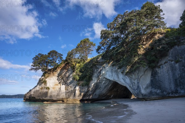 Cathedral Cove in New Zealand with ocean, sandy beach and limestone cliffs. Cathedral Cove, Hahei, Coromandel Peninsula, Waikato, New Zealand