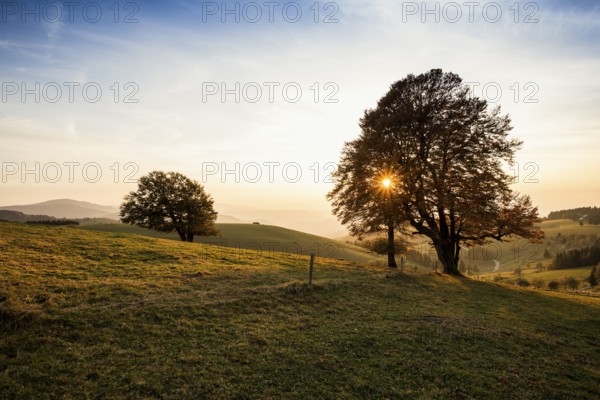Weather forecast in autumn, sunset, Schauinsland, Freiburg im Breisgau, Black Forest, Baden-WÃ¼rttemberg, Germany