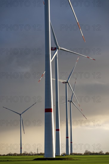 Bedburg A 44n onshore wind farm, on the A44 motorway near Bedburg, in front of the Jackerath triangle, recultivated open-cast mining site, Garzweiler open-cast lignite mine, operated by RWE and the city of Bedburg, North Rhine-Westphalia, Germany