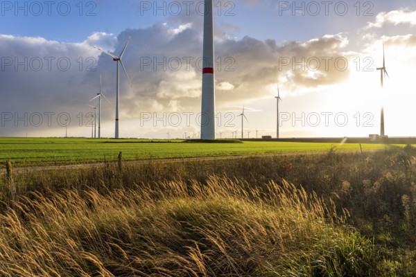 Bedburg A 44n onshore wind farm, on the A44 motorway near Bedburg, in front of the Jackerath triangle, recultivated open-cast mining site, Garzweiler open-cast lignite mine, operated by RWE and the city of Bedburg, North Rhine-Westphalia, Germany