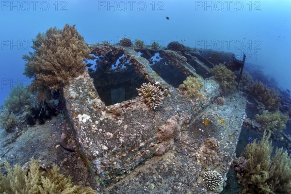 Deck, overgrown with various corals, SS Turkia, British, steamship, sunk 17.05.1941, Second World War, Red Sea, Gulf of Suez, Egypt