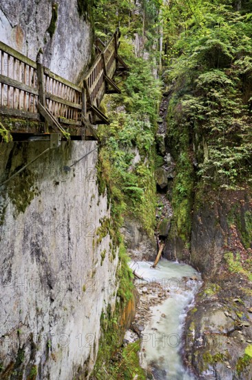 Wooden walkway in the Durnand Gorge, Les Valettes, Canton of Valais, Switzerland