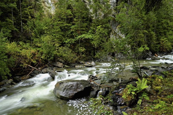 Diosaz mountain river in the gorge, Gorges de la Diosaz, Les Houches, Chamonix-Mont-Blanc, Haute-Savoie, France