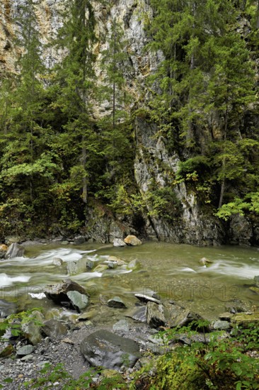 Diosaz mountain river in the gorge, Gorges de la Diosaz, Les Houches, Chamonix-Mont-Blanc, Haute-Savoie, France
