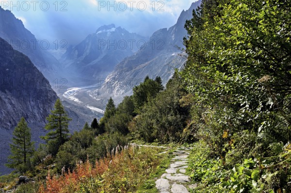 Hiking trail in autumn-colored surroundings with the Mer de Glace glacier, Mont-Blanc, Chamonix-Mont-Blanc, Haute-Savoie, France
