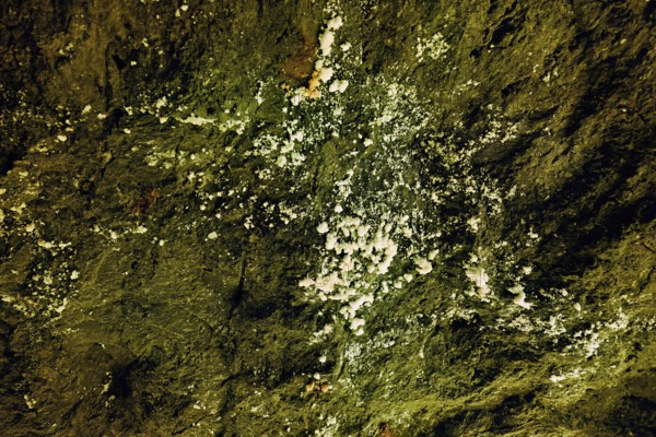 Salz am Fels, salt mine, Bex, Canton of Vaud, Switzerland