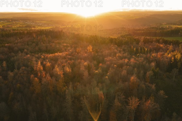 Panoramic view of a warmly lit forest at sunset that radiates an autumnal atmosphere, Calw district, Germany
