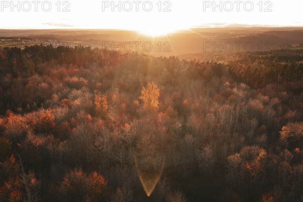 Autumn forest landscape under an intense sunset that bathes the forest in orange light, Calw district, Germany
