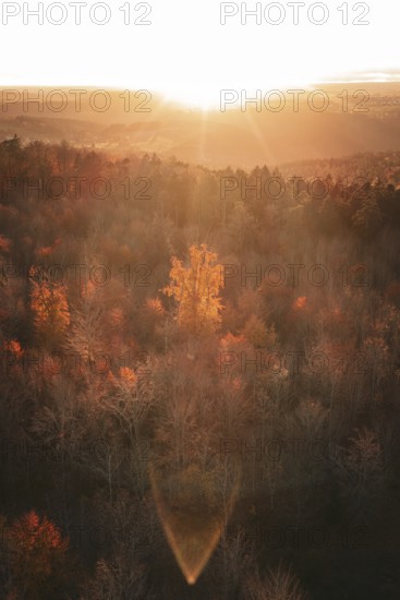 Wooded landscape with autumn trees illuminated by a powerful sunset, Calw district, Germany