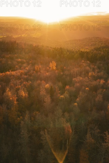 Autumn forest illuminated by a warm sunset that creates an orange atmosphere, Calw district, Germany