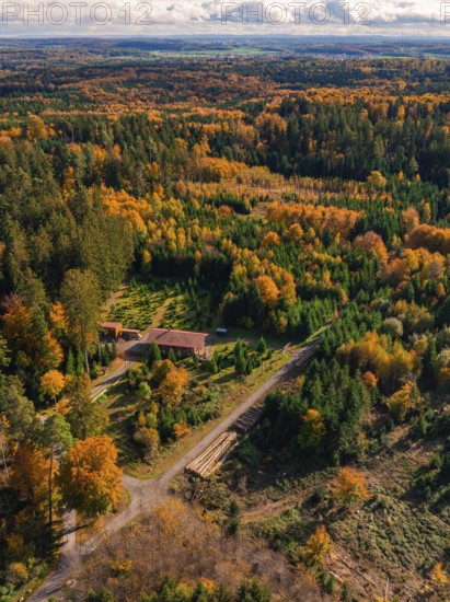 Autumn landscape with thick green and orange trees, dotted with buildings, under a cloudy sky, Calw district, Germany