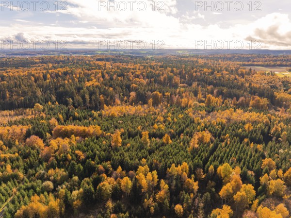 Panoramic view of an autumn landscape with colorful forests and a wide sky, Calw district, Germany