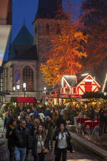 Christmas market in Essen, gastronomy, fire forest, at Essen Cathedral, Kettwiger StraÃŸe shopping street, pedestrian zone, full, lots of people shopping, Christmas lights, Christmas market stalls, Essen Light Weeks, Essen, North Rhine-Westphalia, Germany