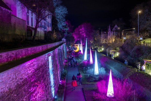 Light art, light installation, illuminated sculptures in the city garden of the city of Radolfzell am Lake Constance, as part of the Radolfzell Lichtblicke event and art campaign, supported by the Ministry of Labour, Economy and Tourism Baden-WÃ¼rttemberg, Konstanz district, Baden-WÃ¼rttemberg, Germany
