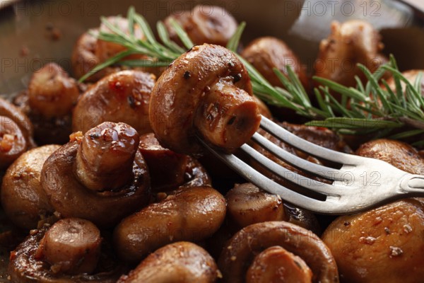 Fried mushrooms, with spices, in soy sauce, vegetarian food, homemade, no people