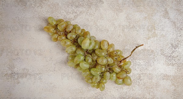 A branch of white grapes, wine grapes, Georgian grape variety Rkatsiteli, top view