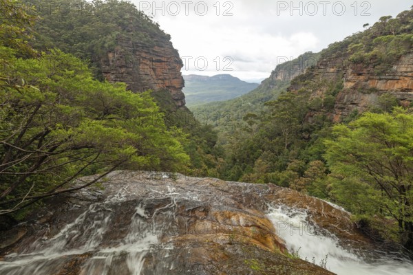 Leura Falls in a lush valley full of ferns and vegetation, Blue Mountains, New South Wales, Australia