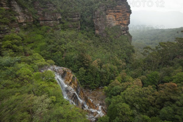 Leura Falls from above, in a lush valley full of ferns and vegetation, Blue Mountains, New South Wales, Australia