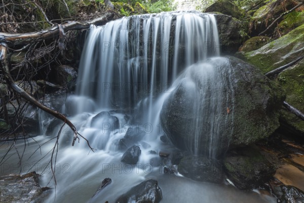 Leura Falls further down in the lush valley full of ferns and vegetation, Blue Mountains, New South Wales, Australia