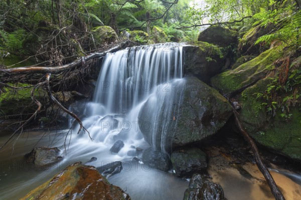 Leura Falls from further down in the lush valley full of ferns and vegetation, Blue Mountains, New South Wales, Australia