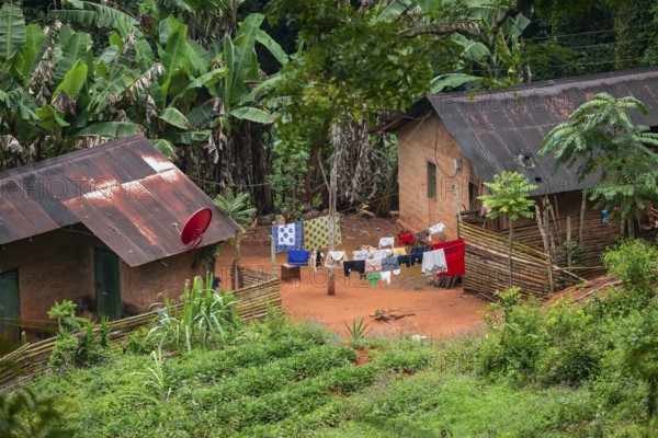 Houses in a settlement in the Amani Nature Forest Reserve, Eastern Usambara Mountains, Tanga, Tanzania