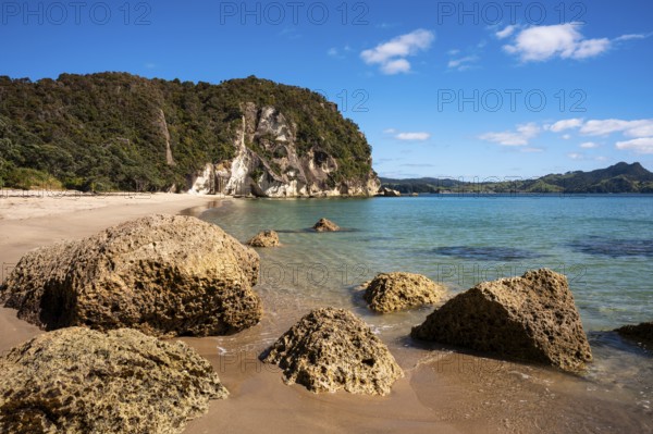 Landscape with sea and sandy beach in New Zealand. Lonely Bay, Shakespeare Cliff, Cooks Beach, Coromandel Peninsula, Waikato, New Zealand
