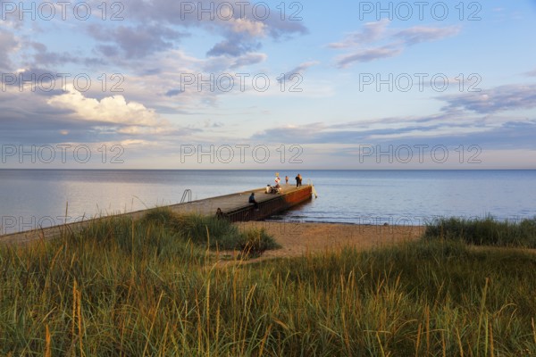 Coastline with beach, grasses on the shore, bathers at the jetty, summer in Ystad, evening sun, Baltic Sea, Sweden