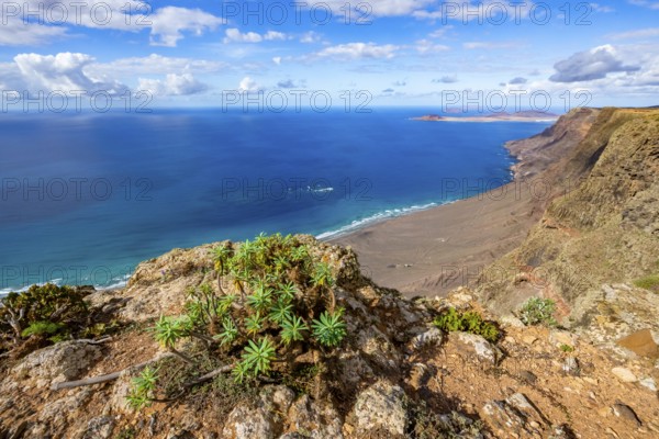 View from the Castillejo viewpoint from the Risco de Famara cliffs to the coast and the sea with the Famara beach, Playa de Famara, Lanzarote, Canary Islands, Spain