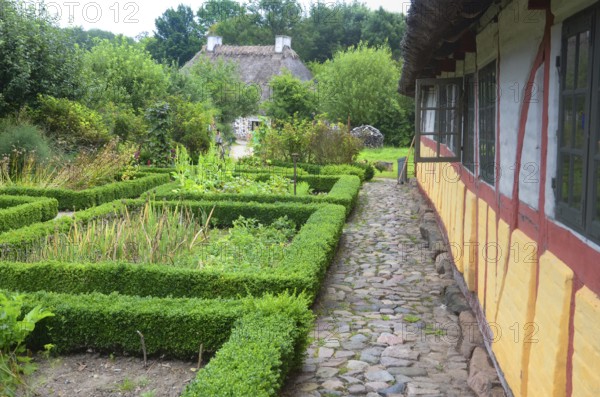 Half-timbered house with thatched roof by an older kitchen garden with boxwood hedges in Den gamle by, The old village, open air museum in Odense, Fyn island, Fuen, Denmark, Scandinavia