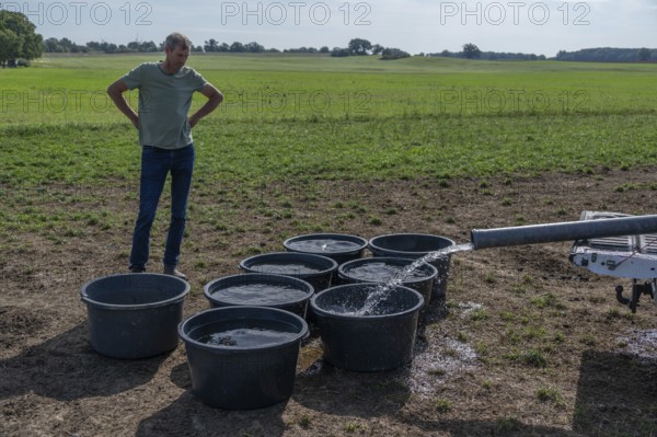 Shepherd fills water tubs from a pickup truck for sheep in the pasture, Mecklenburg-Western Pomerania, Germany