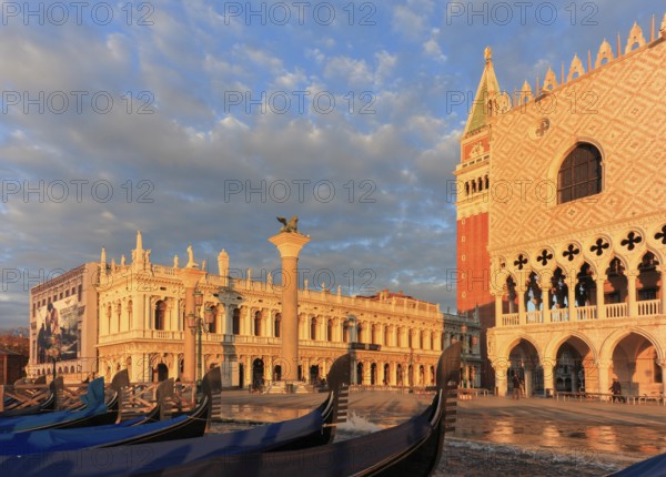 Gondolas in front of Piazzetta San Marco, sunrise, Venice, Italy