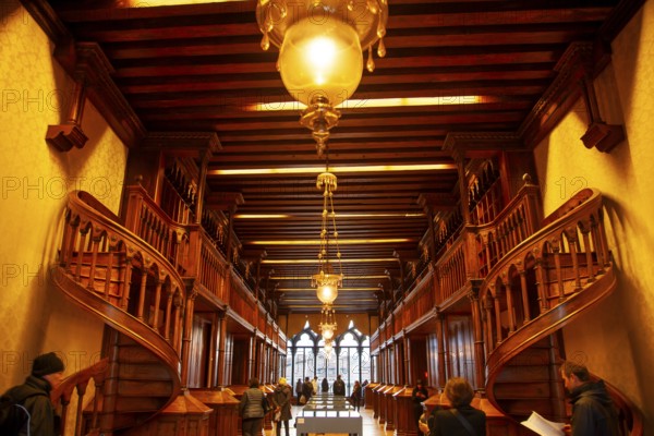 Palazzo Cavalli-Franchetti, cultural institution of the Istituto Veneto di Scienze, Lettere ed Arti, Venice, Veneto, Italy