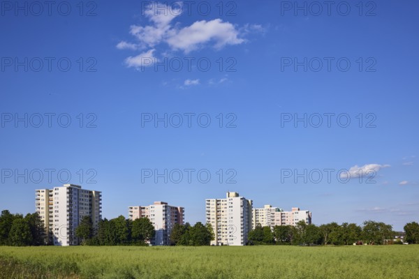 View of skyscrapers on NiederhöchstÃ¤dter StraÃŸe, residential buildings, trees, cultivated landscape, field, oilseed rape (Brassica napus), blue sky, cumulus clouds, Steinbach, Taunus, Hochtaunus, Hesse, Germany