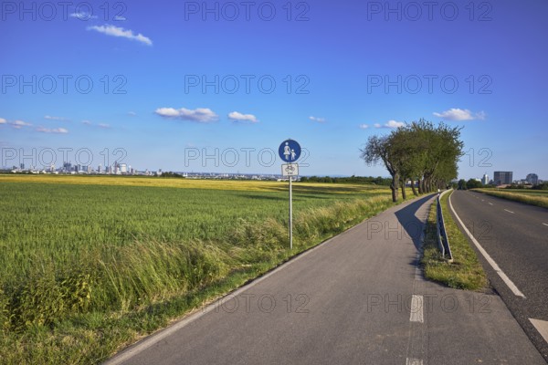 Cultural landscape, fields, agriculture, cornfield, footpath and cycle path, traffic sign special path for pedestrians, additional sign bicycles free, road, guardrail, general architecture, skyline, total views, view of Frankfurt am Main, side light, shadow, blue sky, cumulus clouds, country road L3006, Eschborner StraÃŸe, Steinbach, Taunus, Hochtaunuskreis, Hesse, Germany